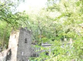 Il castello nel bosco