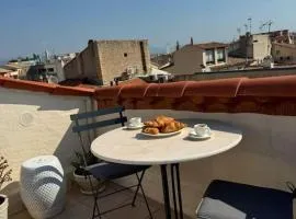 ARAZY - Superb duplex old Antibes very central, AC, terrace