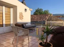 Charmant appartement en duplex & terrasse vue Larzac