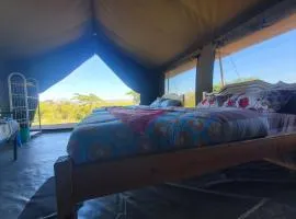 Nyangulo maasai mara safari camp