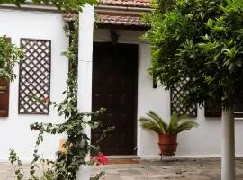 Lemon Tree House