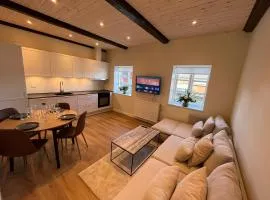 Luxurious apartment in Manor House