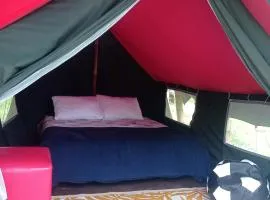Entre Guaduas Ecolodge Carpa confort 2