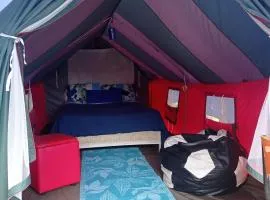 Entre Guaduas Ecolodge Carpa confort 1