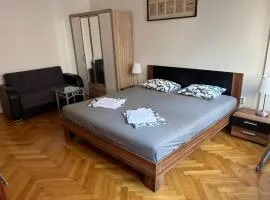 Centrum Apartment Ve Smečkách