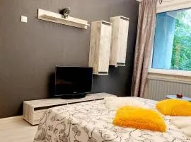 Apartment in Dainava self check in