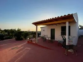 Il Poggio