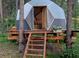 Cabane ronde dans les arbres