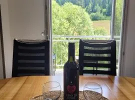 Apartman Zlatar-Vasiljevic