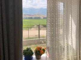 Gulnara guesthouse