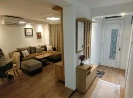 Gornji Milanovac Apartment