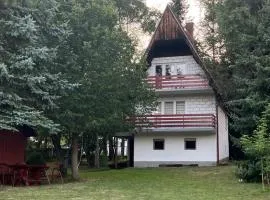 Apartments IN