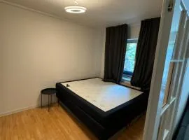 Apart near downtown cozy