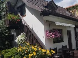 Pokój Sosnowa