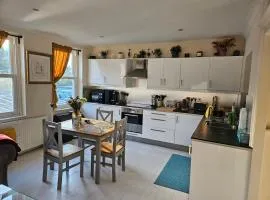 Nice apartment in Barnes
