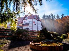 Elita Hotel & Restauracja, hotel v destinácii Iwonicz-Zdrój