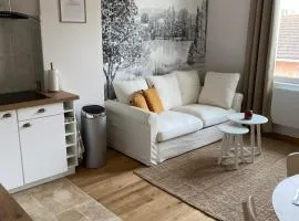 Hilo Charming Appartment Saint Laurent Sur Sane