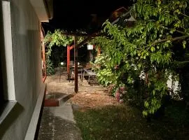 Rustik 2