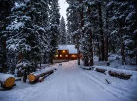 Cabin on the Edge of Forever
