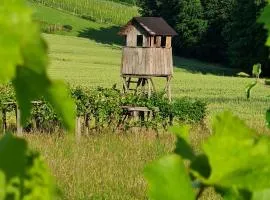 Hiša nad vinogradom