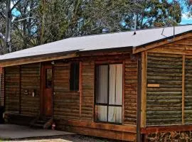 Cabin 2 - Snowy Accommodation