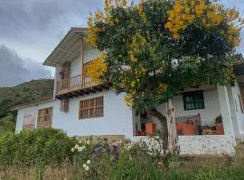 Casa Laurel