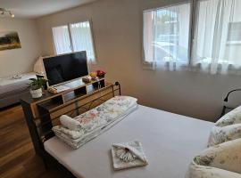Private Etage 5 Min vom Bahnhof - Parken - Küche - Netflix, hotel v destinaci Widnau