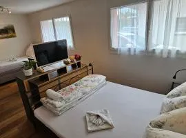 Private Etage 5 Min vom Bahnhof - Parken - Küche - Netflix