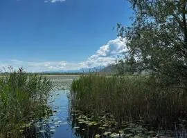 Fisherman's house Bobija