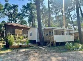 La cabane des pins