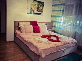Mony Apartaments