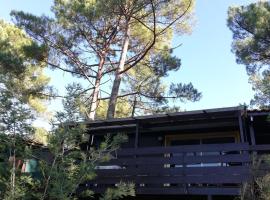 Chalet dans les pins, Hotel in Carcans
