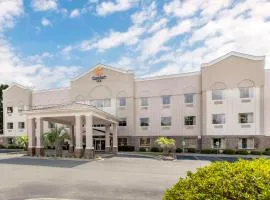 Comfort Inn Summerville - Charleston