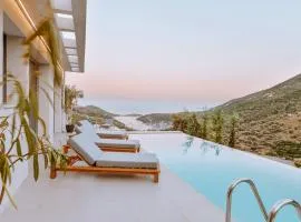 Luxury Villas Theros with private pools