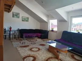 Mountain Apartment Vlašić Babanovac