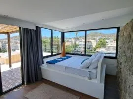 Luxury Penthouse Suite