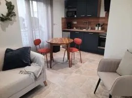 Studio 1 - Appart'hôtel avec terrasse, CLIM, WIFI - TU ELLETA