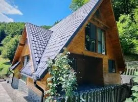 Cabana A Brezoi