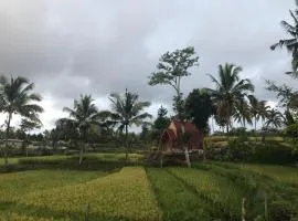 Eger Rise Terrace Bungalow