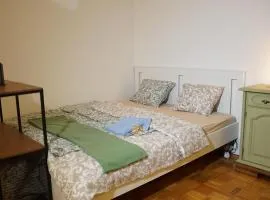 Ferienwohnung mit Bergblick & Netflix