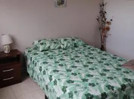 Amplia habitación con baño privado en Ciudad de Panamá