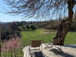 Ca'Vittoria - Prosecco Experience - Unesco