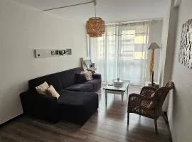 ideal curiste Appartement climatisé 51 m2 au centre