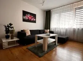 Apartmán širšie centrum KOCKA