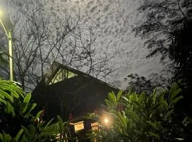 Momotus House