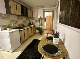 Apartament Vintage
