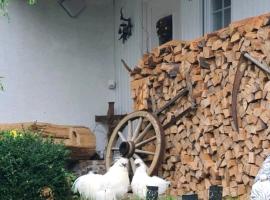 Cozy and quite apartment near Black Forest, hotel in Schömberg