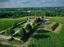 Château 14e siècle vue panoramique sur les vignes