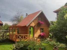 Apartments Vila Selena - Golija