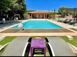 Les Lézards 2 au Soleil Draguignan